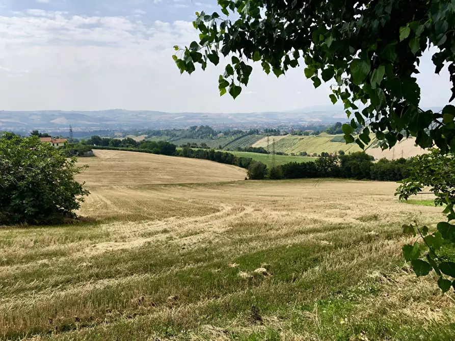 Immagine 7 di Terreno agricolo in vendita  a Jesi