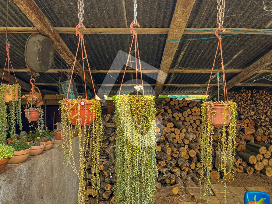 Immagine 13 di Casa indipendente in vendita  a Jesi