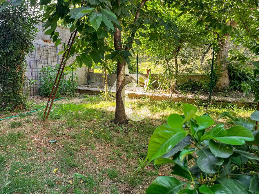 Immagine 31 di Quadrilocale in vendita  a Montecarotto