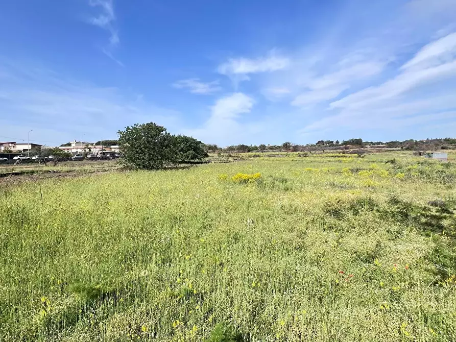 Immagine 1 di Terreno agricolo in vendita  a Tremestieri Etneo
