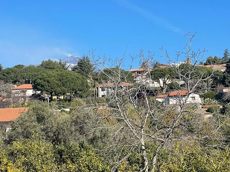 Immagine 26 di Terreno industriale in vendita  a Trecastagni