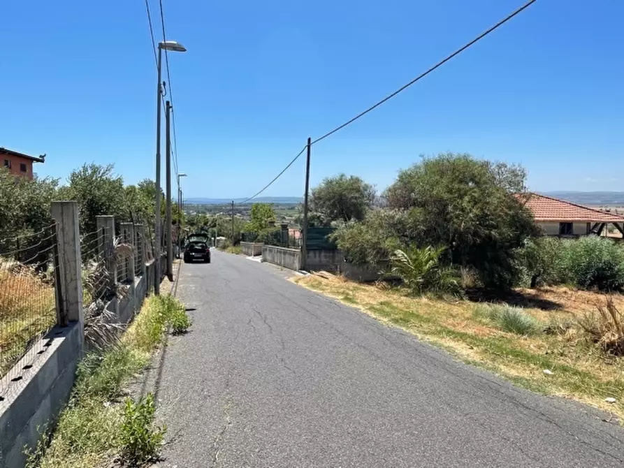 Immagine 2 di Terreno agricolo in vendita  a Lentini