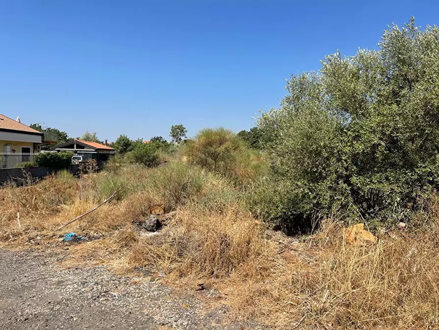 Immagine 3 di Terreno agricolo in vendita  a Tremestieri Etneo