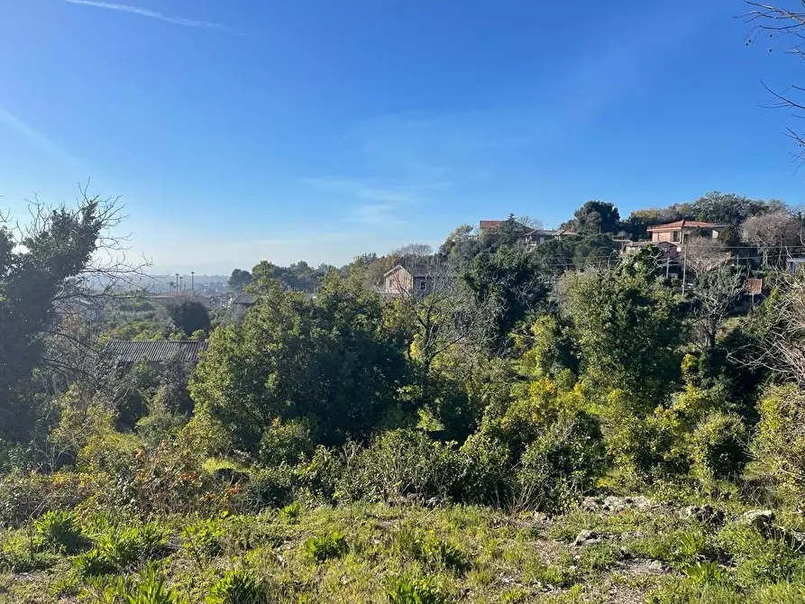 Immagine 24 di Terreno industriale in vendita  a Trecastagni