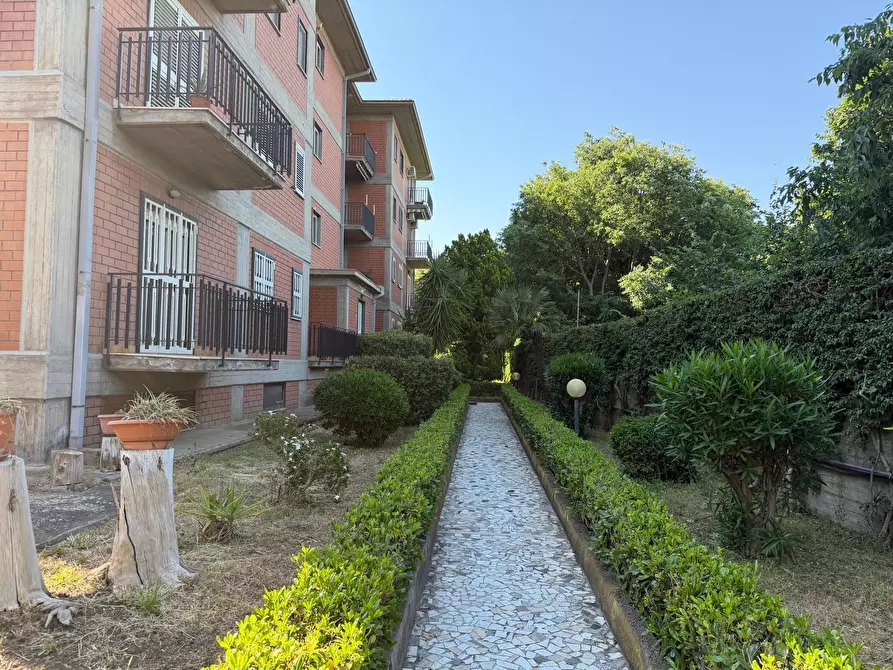 Immagine 24 di Appartamento in vendita  a Gravina Di Catania