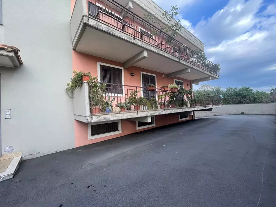 Immagine 5 di Appartamento in vendita  a Giarre