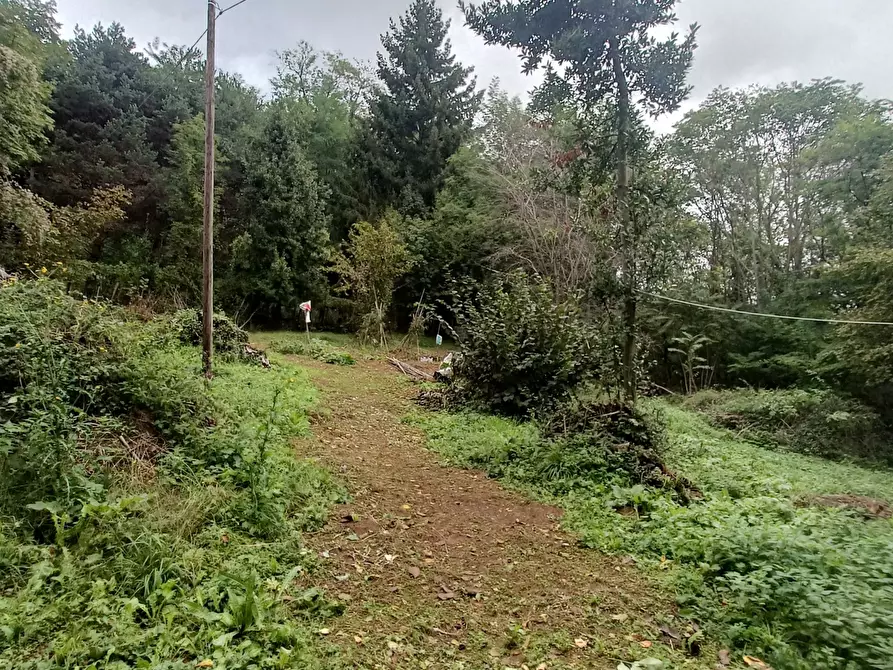 Immagine 33 di Casa indipendente in vendita  in Via Calcinara di Torbi 19 a Ceranesi