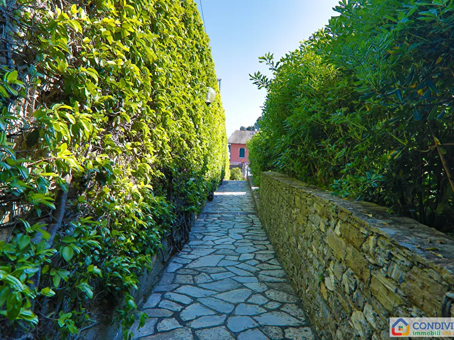 Immagine 7 di Appartamento in vendita  in Via Mulinetti 48 a Recco