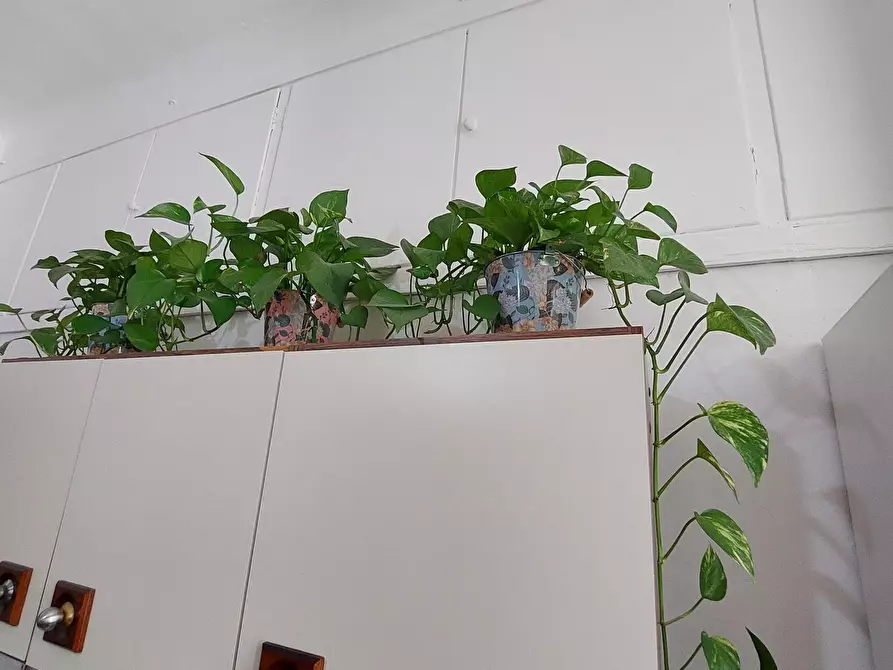 Immagine 9 di Pentalocale in vendita  in Via Casata Centuriona a Genova