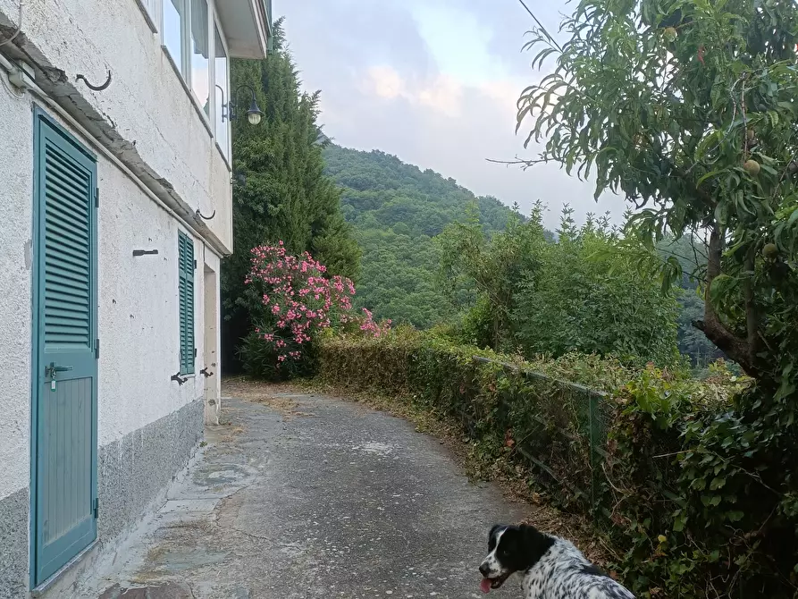 Immagine 34 di Casa bifamiliare in vendita  in Via Gino Pellegrini 14 a Varazze