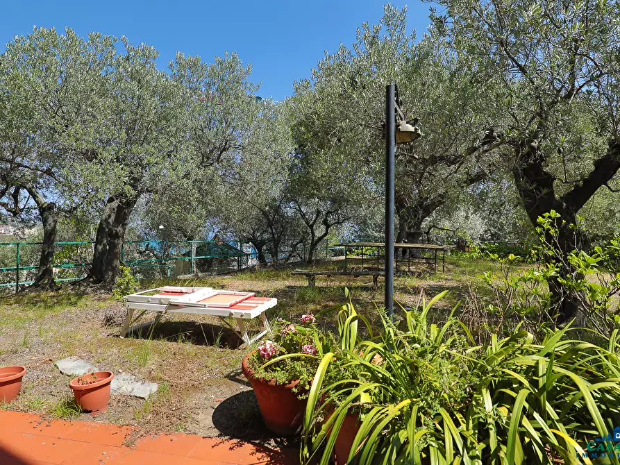 Immagine 3 di Villa in vendita  in Via Livio Canale 72 a Varazze