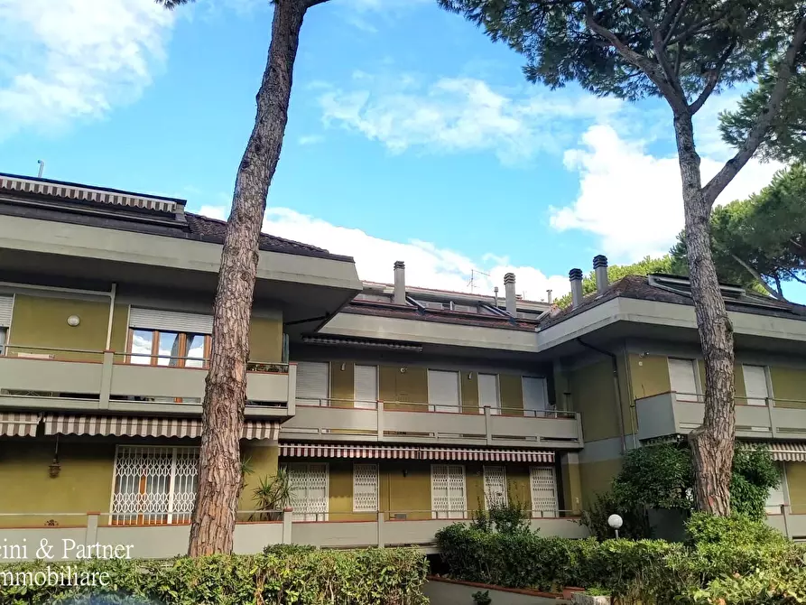 Immagine 50 di Quadrilocale in vendita  in Via Magliano 15 a Massa