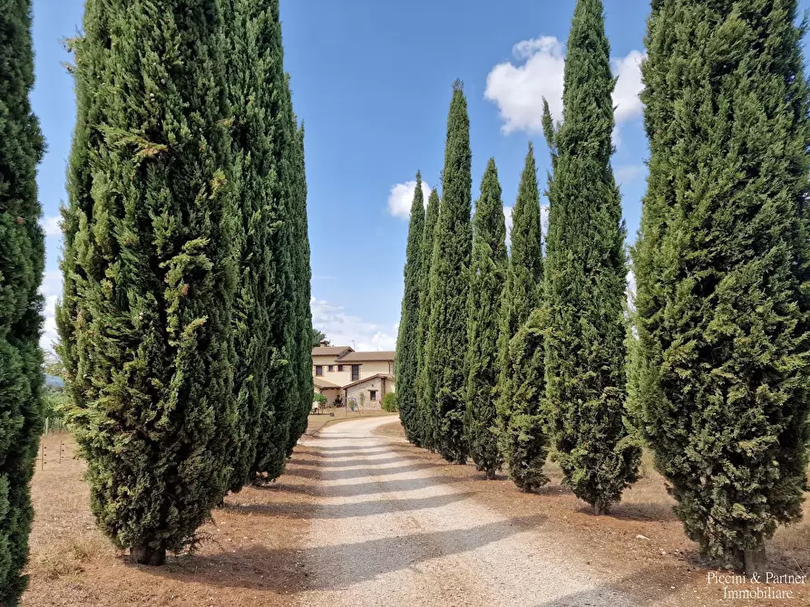 Immagine 1 di Rustico / casale in vendita  in Strada di Guadamello e San Vito a Narni