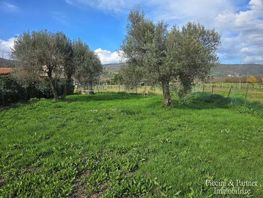 Immagine 33 di Quadrilocale in vendita  in Via George Byron 59 a Tuoro Sul Trasimeno