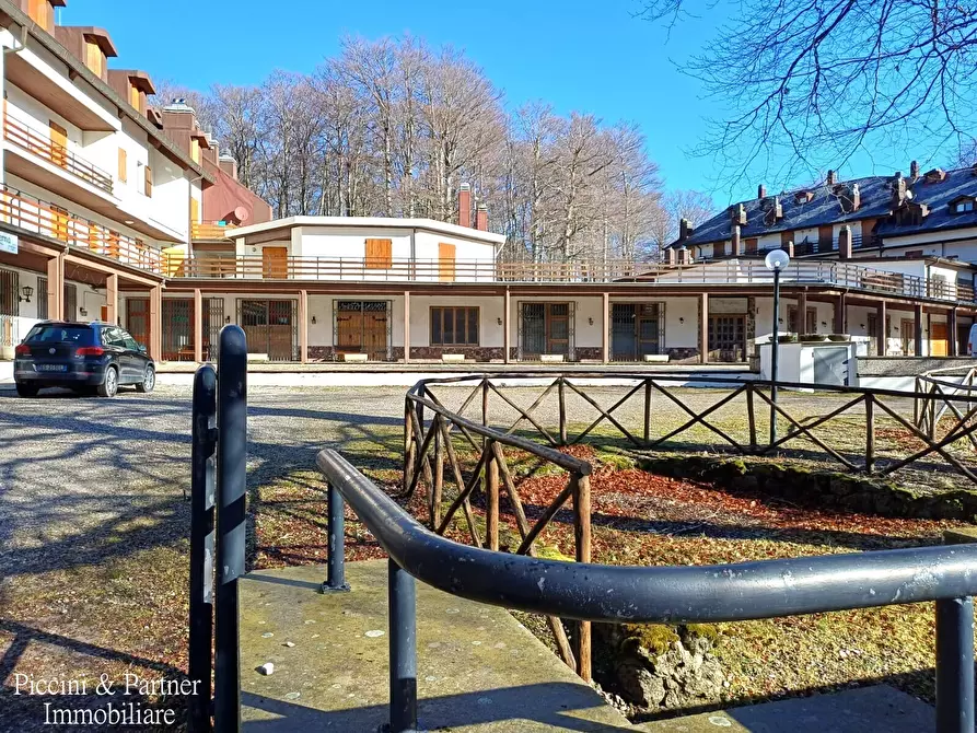 Immagine 2 di Bilocale in vendita  in Prato della Marsiliana Monte Amiata a Seggiano