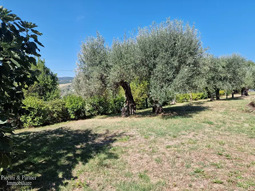 Immagine 62 di Rustico / casale in vendita  in Strada di Compresso a Perugia