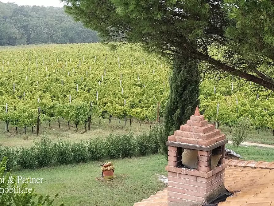 Immagine 10 di Azienda agricola in vendita  in Via Soccorso a Castiglione Del Lago