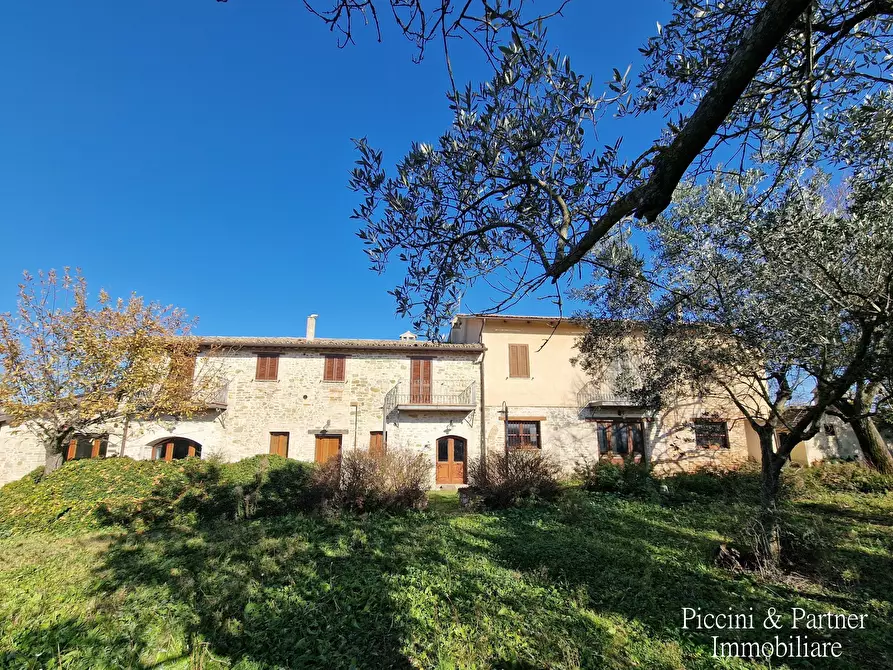 Immagine 4 di Agriturismo in vendita  in Località San Lorenzo a Castel Ritaldi