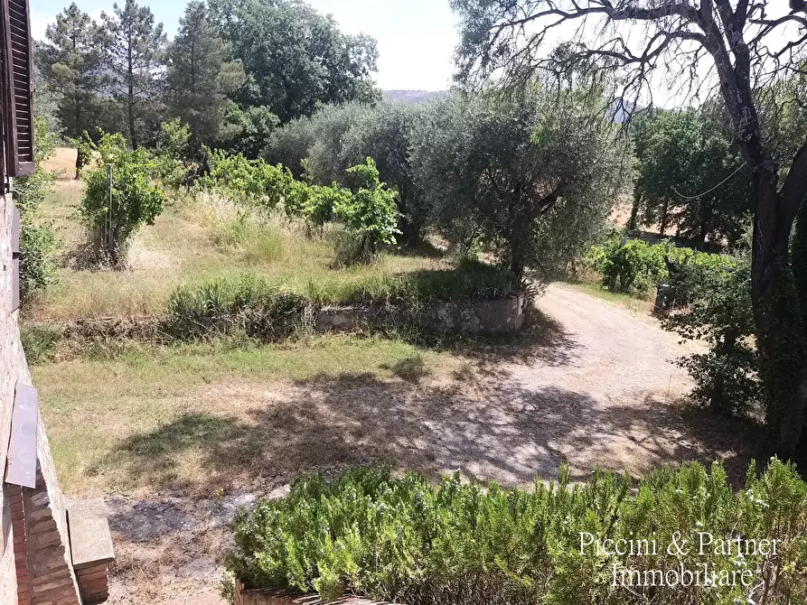 Immagine 4 di Rustico / casale in vendita  in 342W+VM Panicale a Panicale