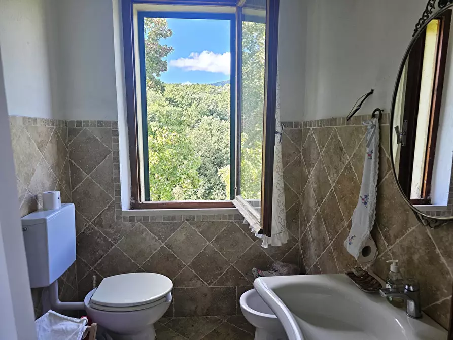 Immagine 40 di Porzione di casa in vendita  in Vocabolo Santa Maria delle Corti 3 a Lisciano Niccone