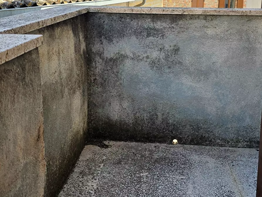 Immagine 4 di Terratetto in vendita  in Via delle Messi a Magione