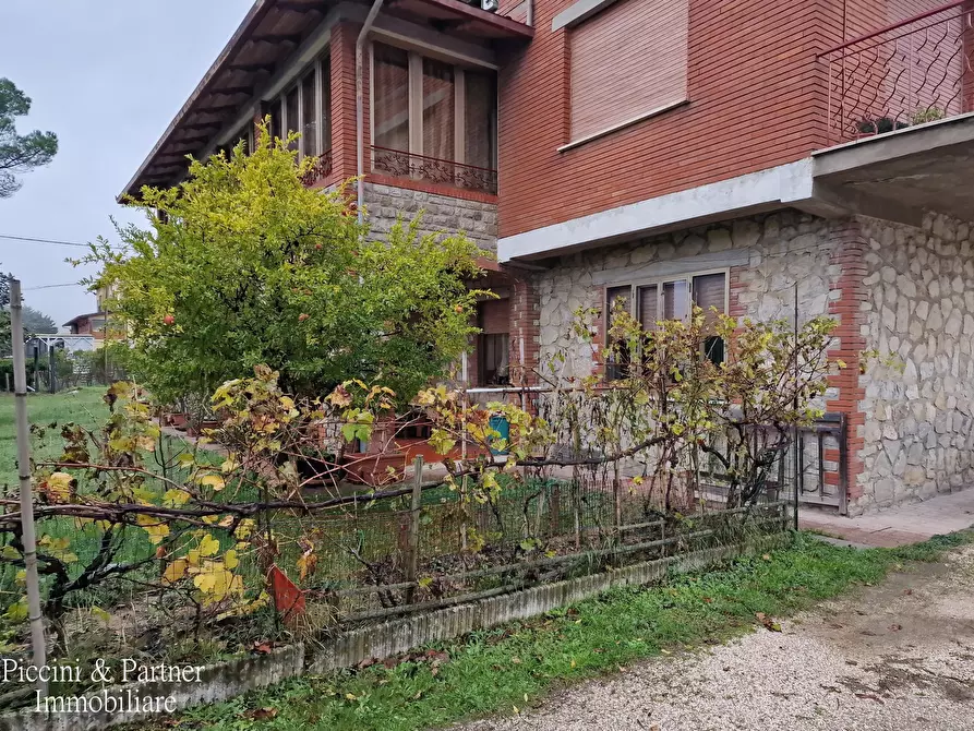 Immagine 2 di Pentalocale in vendita  in Località Gosparini a Tuoro Sul Trasimeno