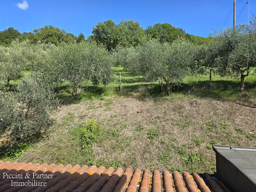 Immagine 58 di Rustico / casale in vendita  in Frazione Paradiso a Assisi