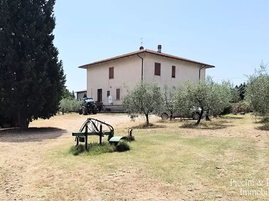 Immagine 11 di Terreno agricolo in vendita  in Via Ascianello a Montepulciano