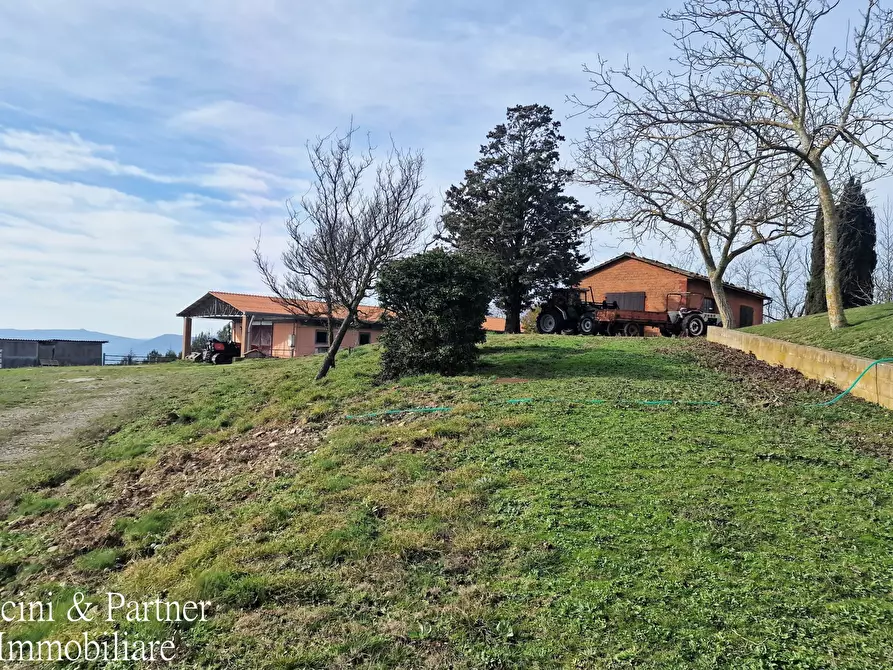 Immagine 67 di Rustico / casale in vendita  in Via del Conventaccio a Ficulle