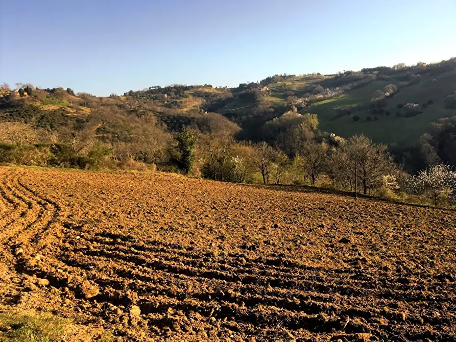 Immagine 30 di Rustico / casale in vendita  in SP252 59 a Perugia