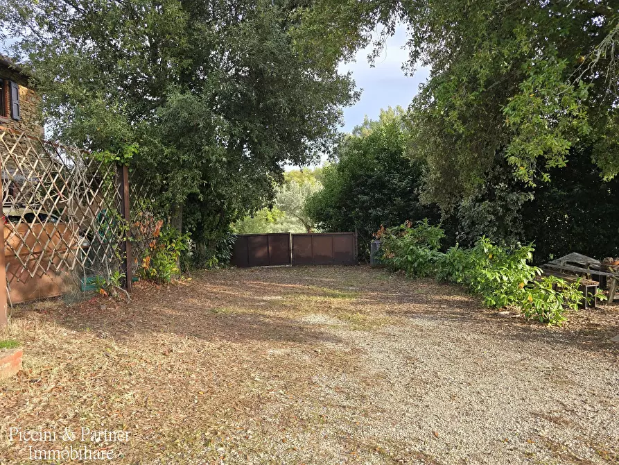 Immagine 78 di Rustico / casale in vendita  in Vocabolo Coccimignolo 36 a Marsciano