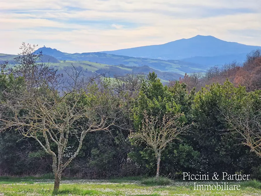 Immagine 50 di Rustico / casale in vendita  a Sarteano