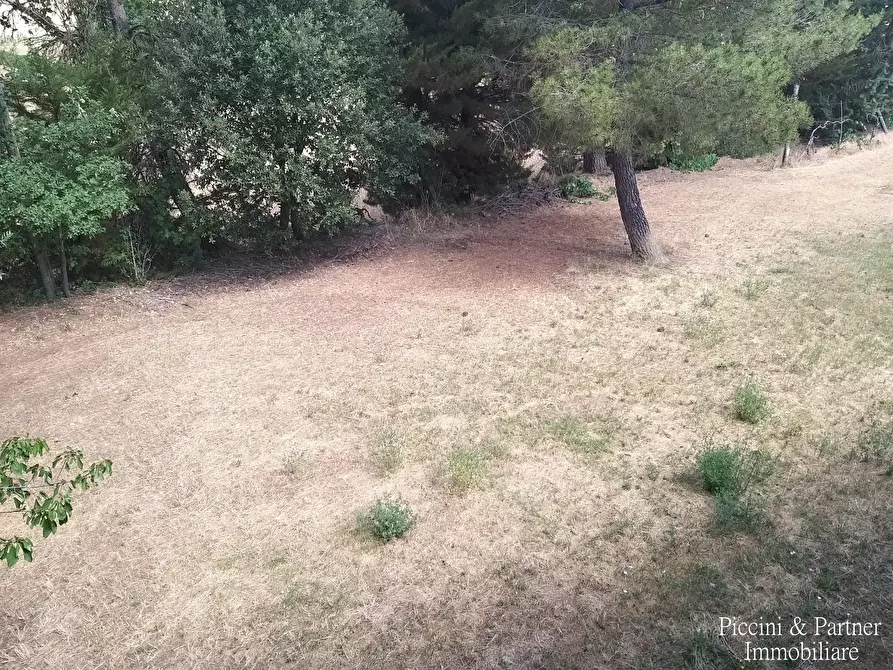 Immagine 16 di Rustico / casale in vendita  in 342W+VM Panicale a Panicale