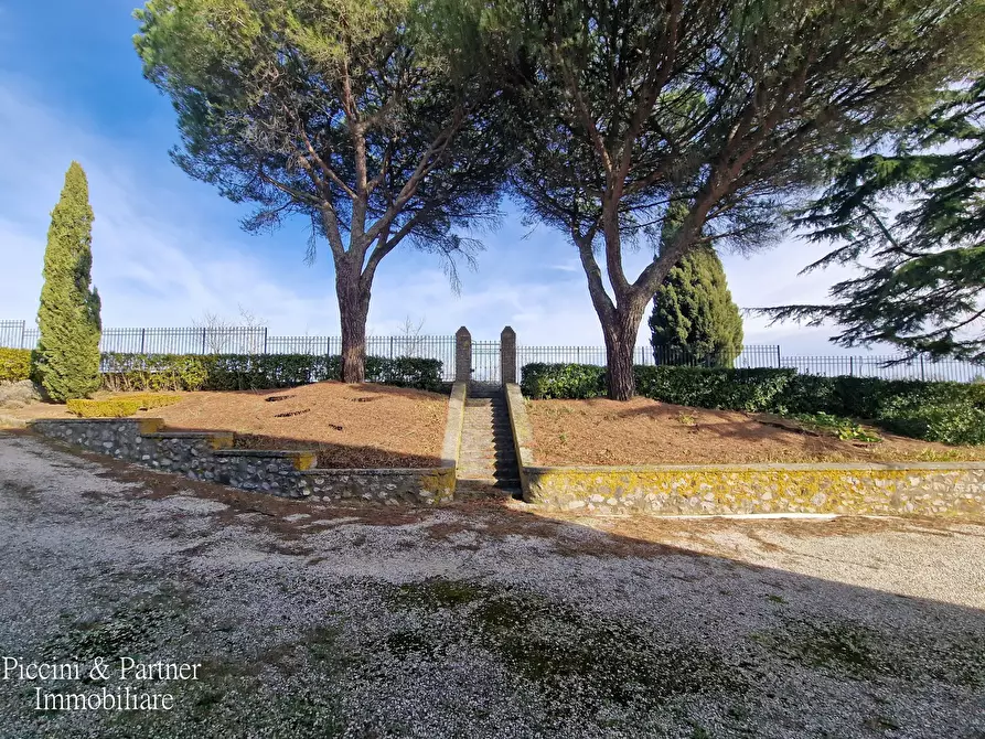 Immagine 80 di Rustico / casale in vendita  in Via del Conventaccio a Ficulle