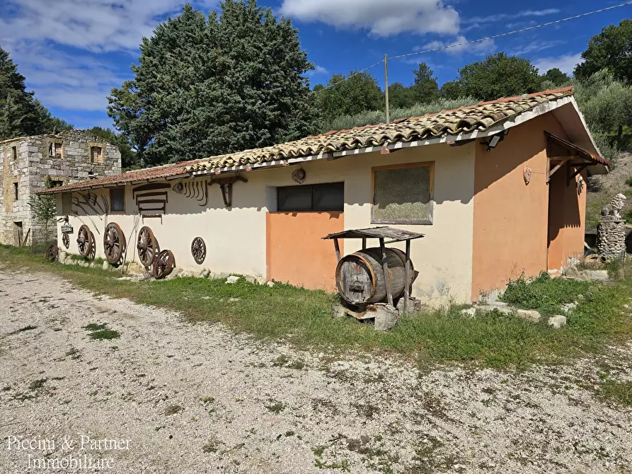 Immagine 2 di Rustico / casale in vendita  in SR 444 Pian della Pieve a Assisi
