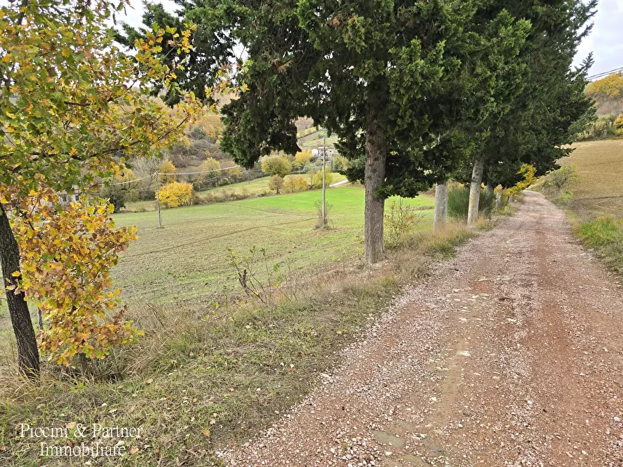 Immagine 24 di Terreno agricolo in vendita  in Località Colonnata a Gubbio