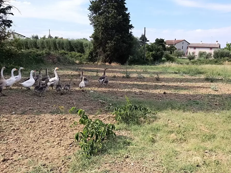 Immagine 30 di Rustico / casale in vendita  in Via Piana 18 a Castiglione Del Lago