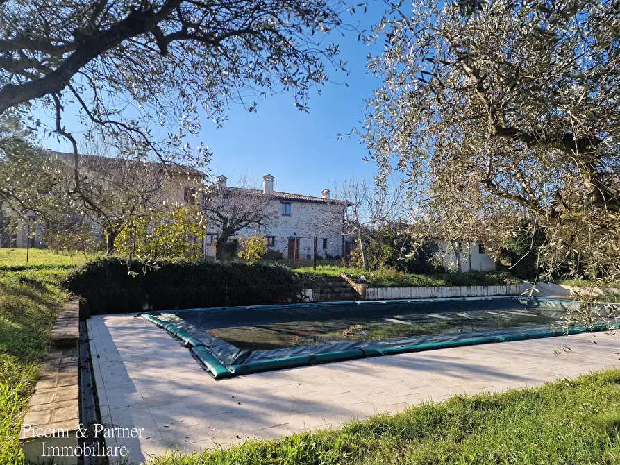 Immagine 7 di Agriturismo in vendita  in Località San Lorenzo a Castel Ritaldi