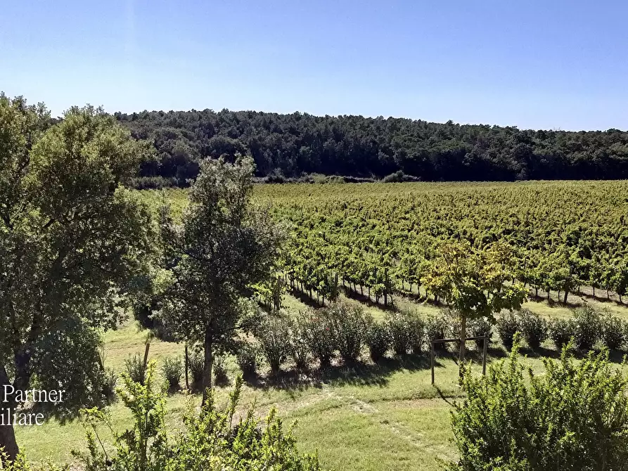 Immagine 20 di Azienda agricola in vendita  in Via Soccorso a Castiglione Del Lago