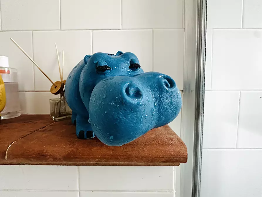 Immagine 31 di Rustico / casale in vendita  in Via Madonna Della Neve a Diano Castello