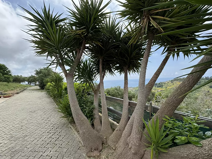 Immagine 46 di Casa bifamiliare in vendita  in Via Gramegna 7 a Castellaro