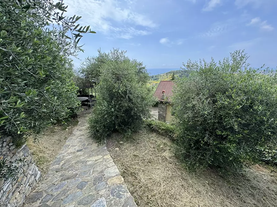 Immagine 41 di Casa bifamiliare in vendita  in Via Gramegna 7 a Castellaro