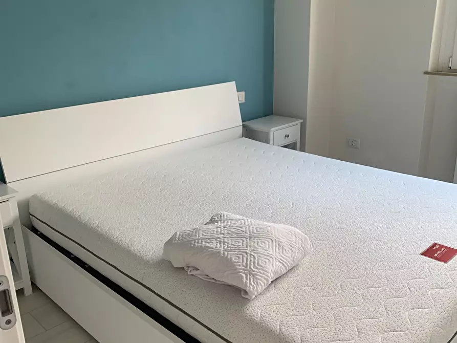 Immagine 17 di Trilocale in affitto  a Viareggio