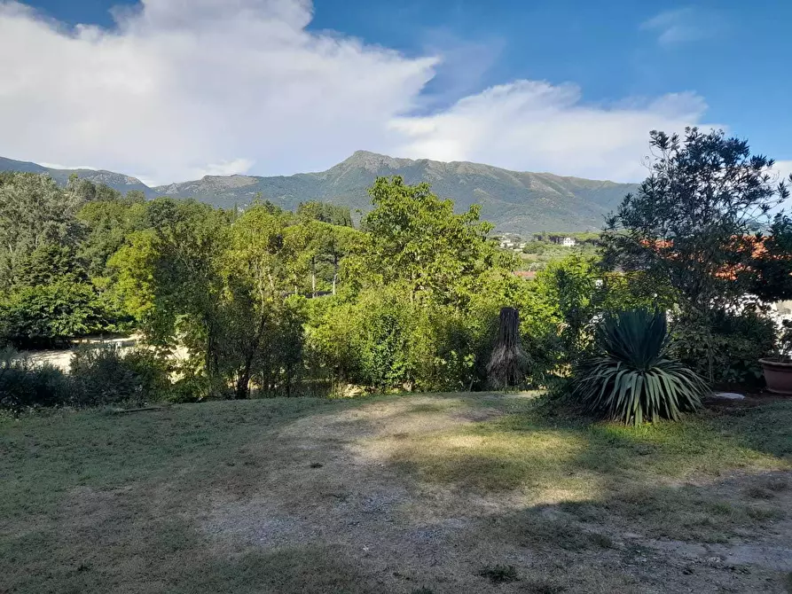 Immagine 53 di Rustico / casale in vendita  a Camaiore