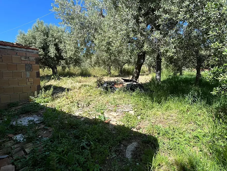 Immagine 22 di Terratetto in affitto  in Via Paolo Borsellino 51 a Frisa