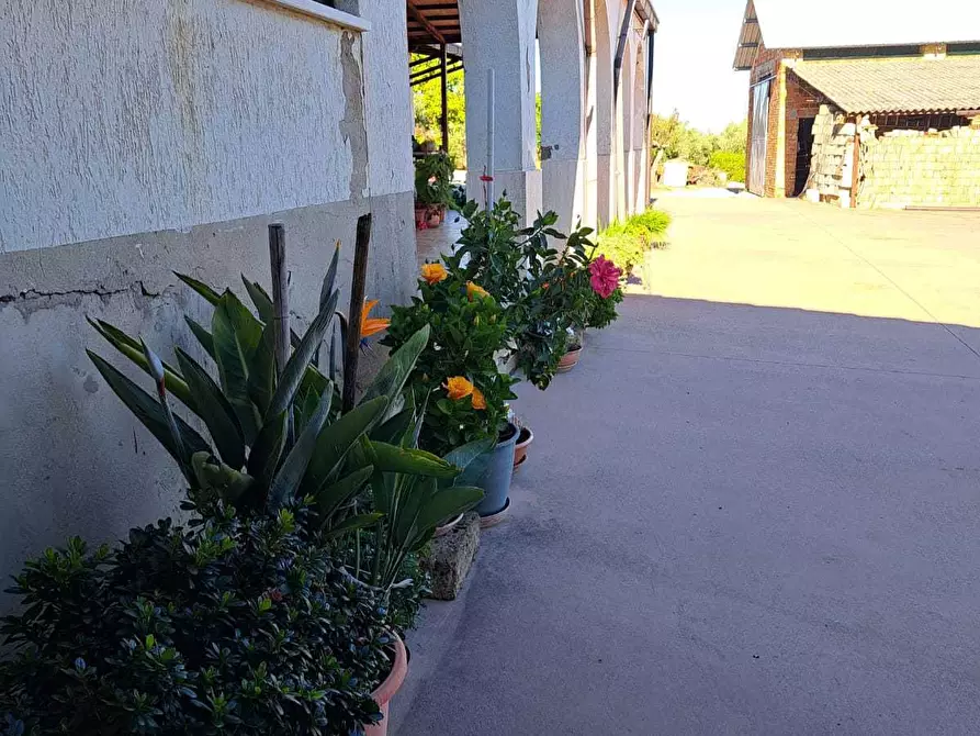 Immagine 36 di Rustico / casale in vendita  in via colle della fonte 94 a Frisa