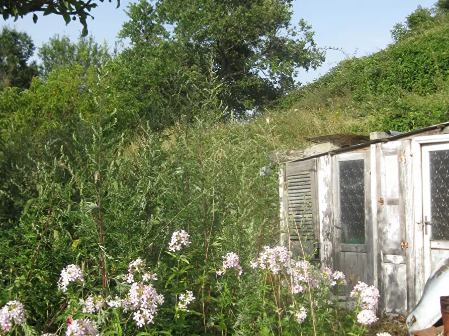 Immagine 31 di Porzione di casa in vendita  in Via Della Coste a Torricella Peligna