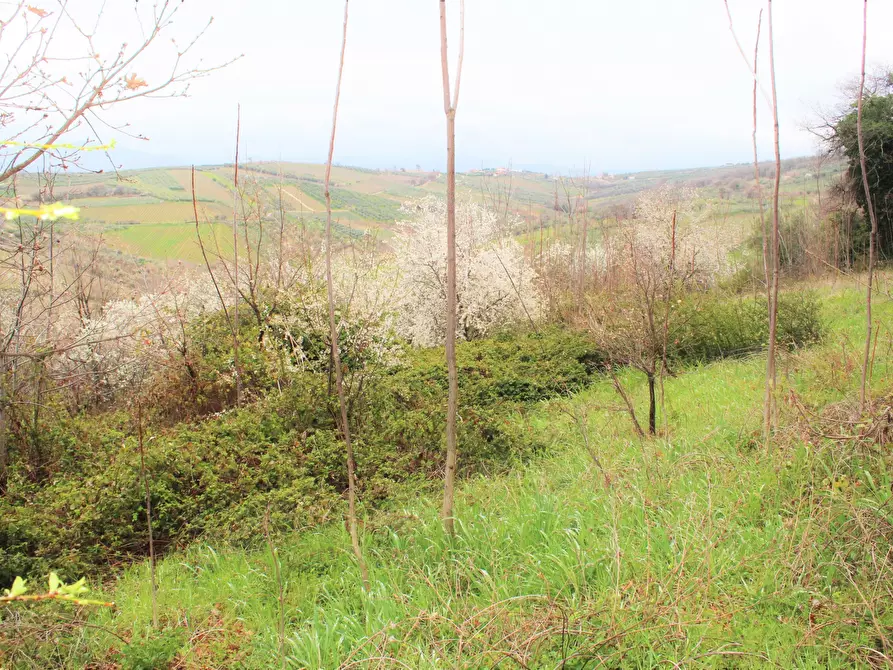 Immagine 1 di Terreno agricolo in vendita  in via Brasile a Mozzagrogna