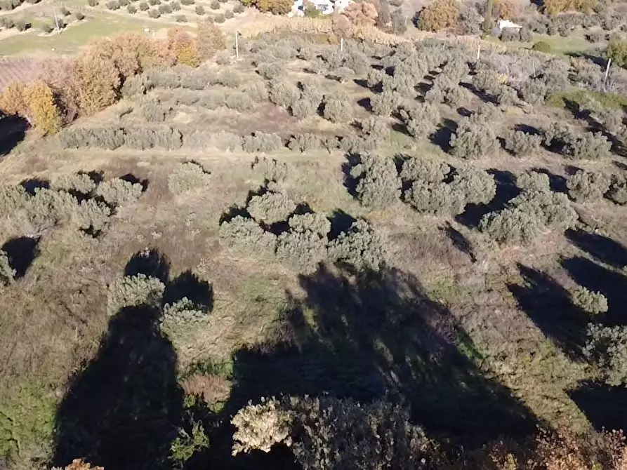 Immagine 5 di Casa indipendente in vendita  in contrada ranco 55 a Paglieta