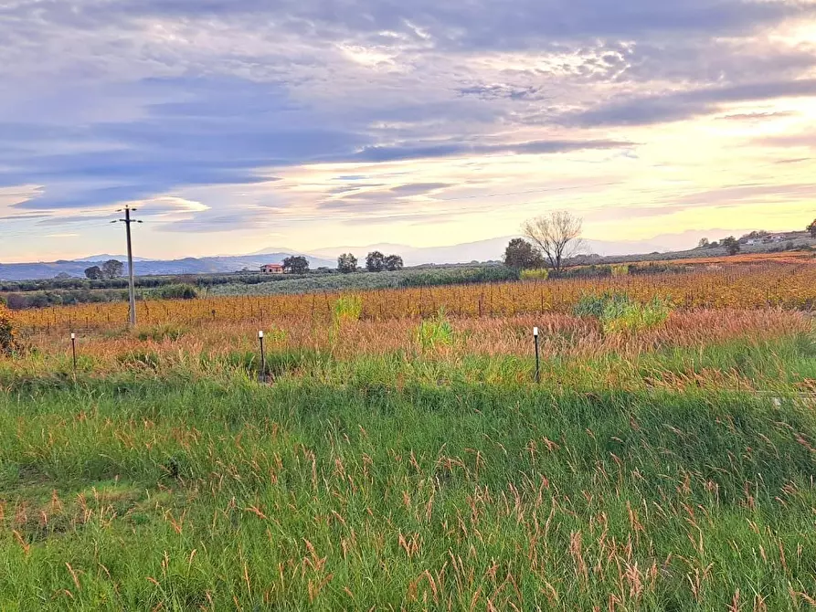 Immagine 1 di Terreno edificabile in vendita  in Strada Statale 16 Adriatica 89 a Fossacesia